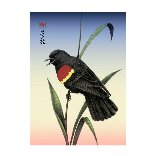 Red-winged Blackbird