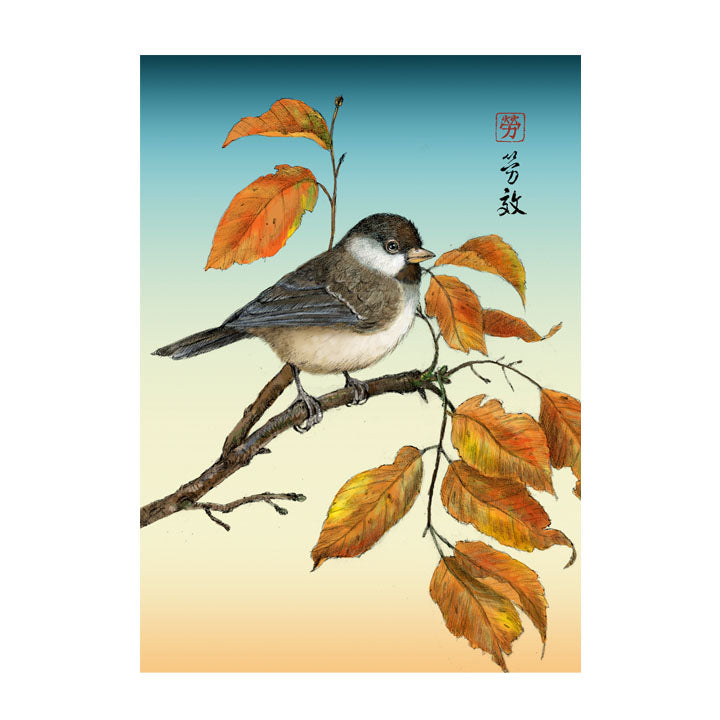 Black-capped Chickadee