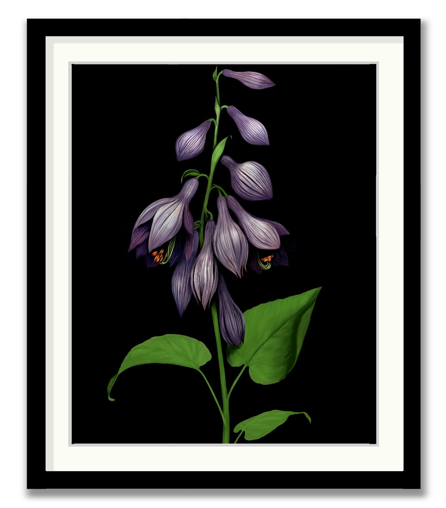 Purple Bells