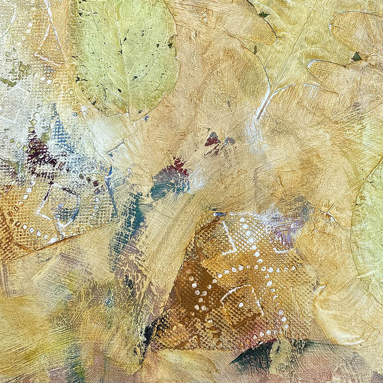 Garden Series 60