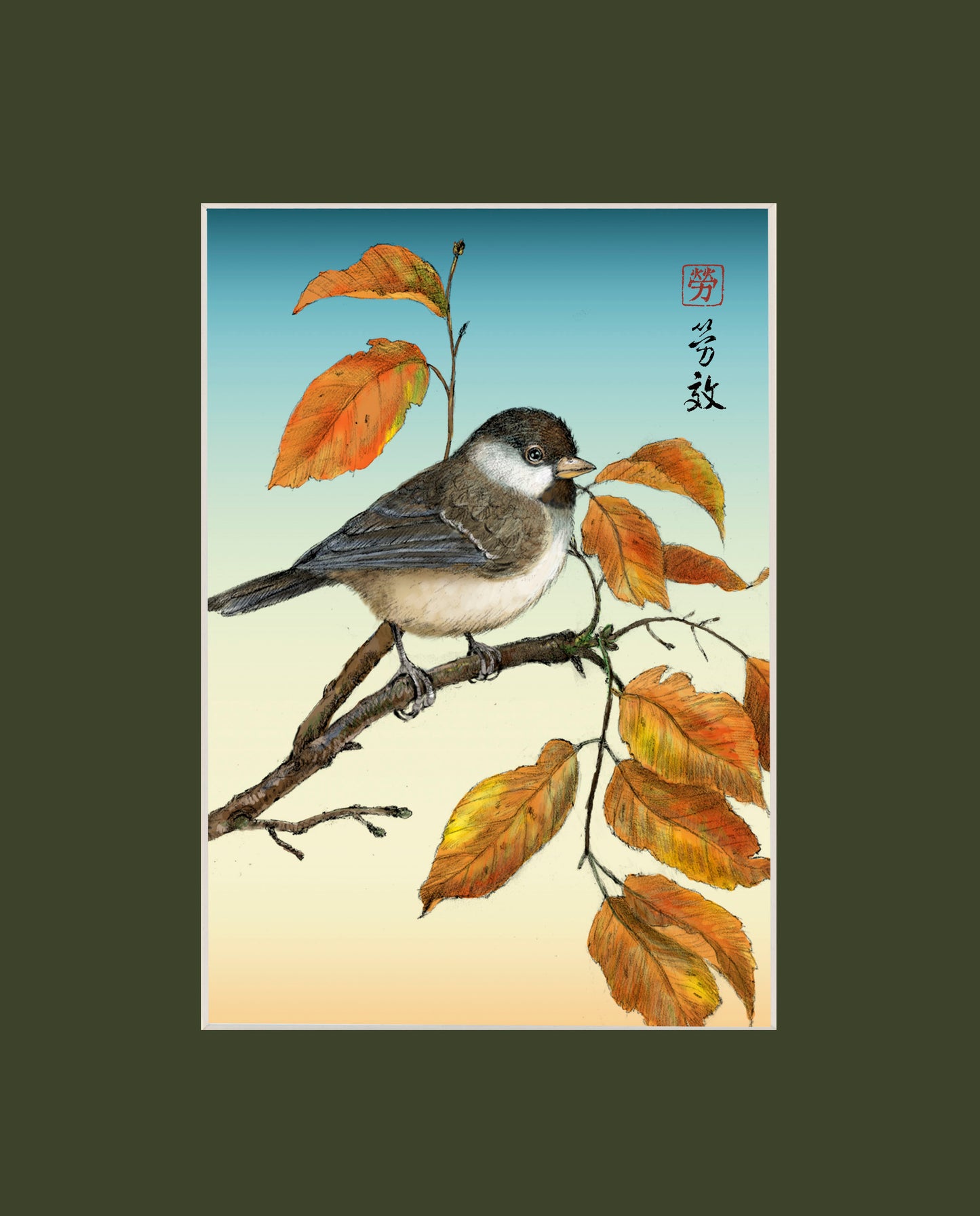 Black-capped Chickadee
