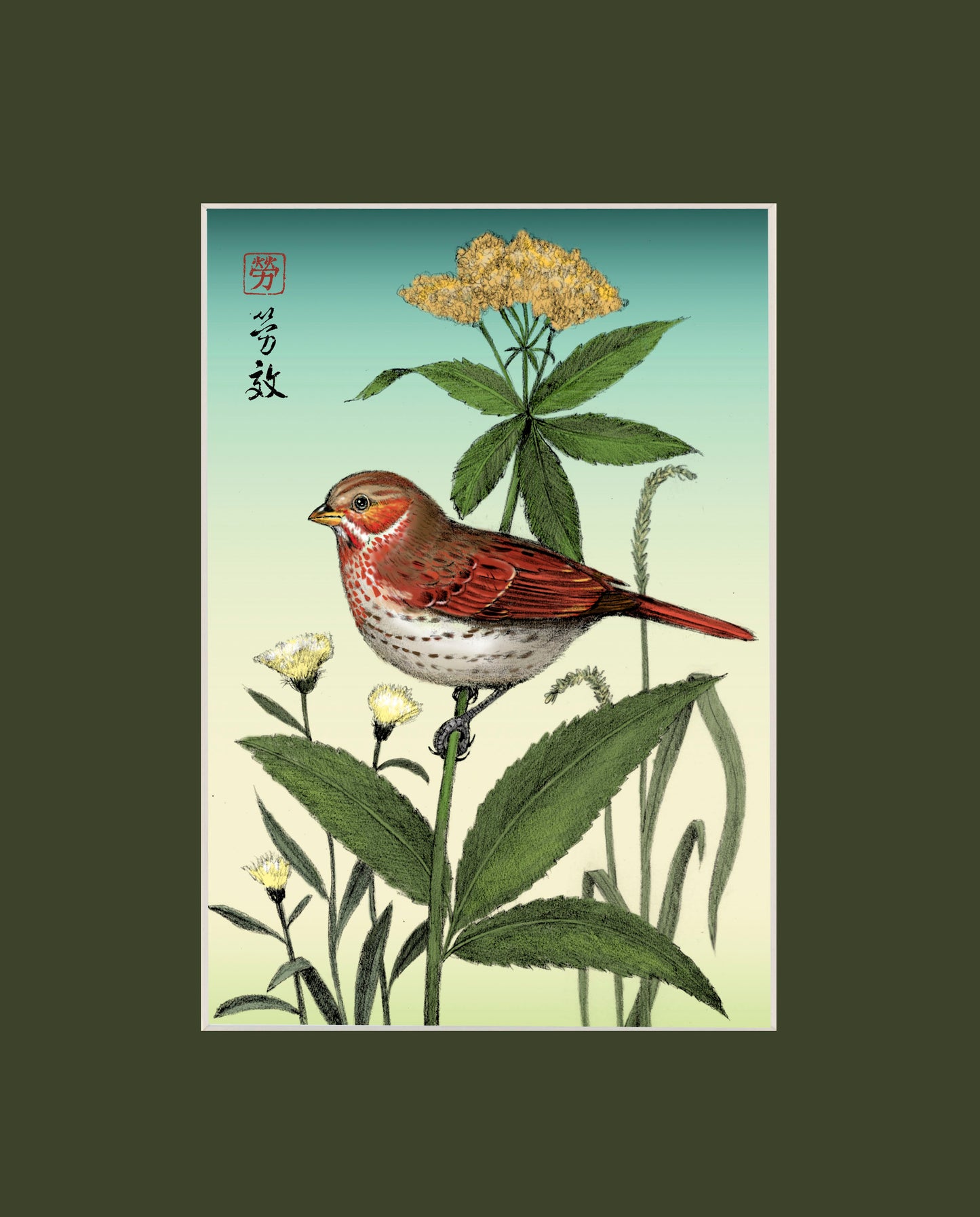 Fox Sparrow
