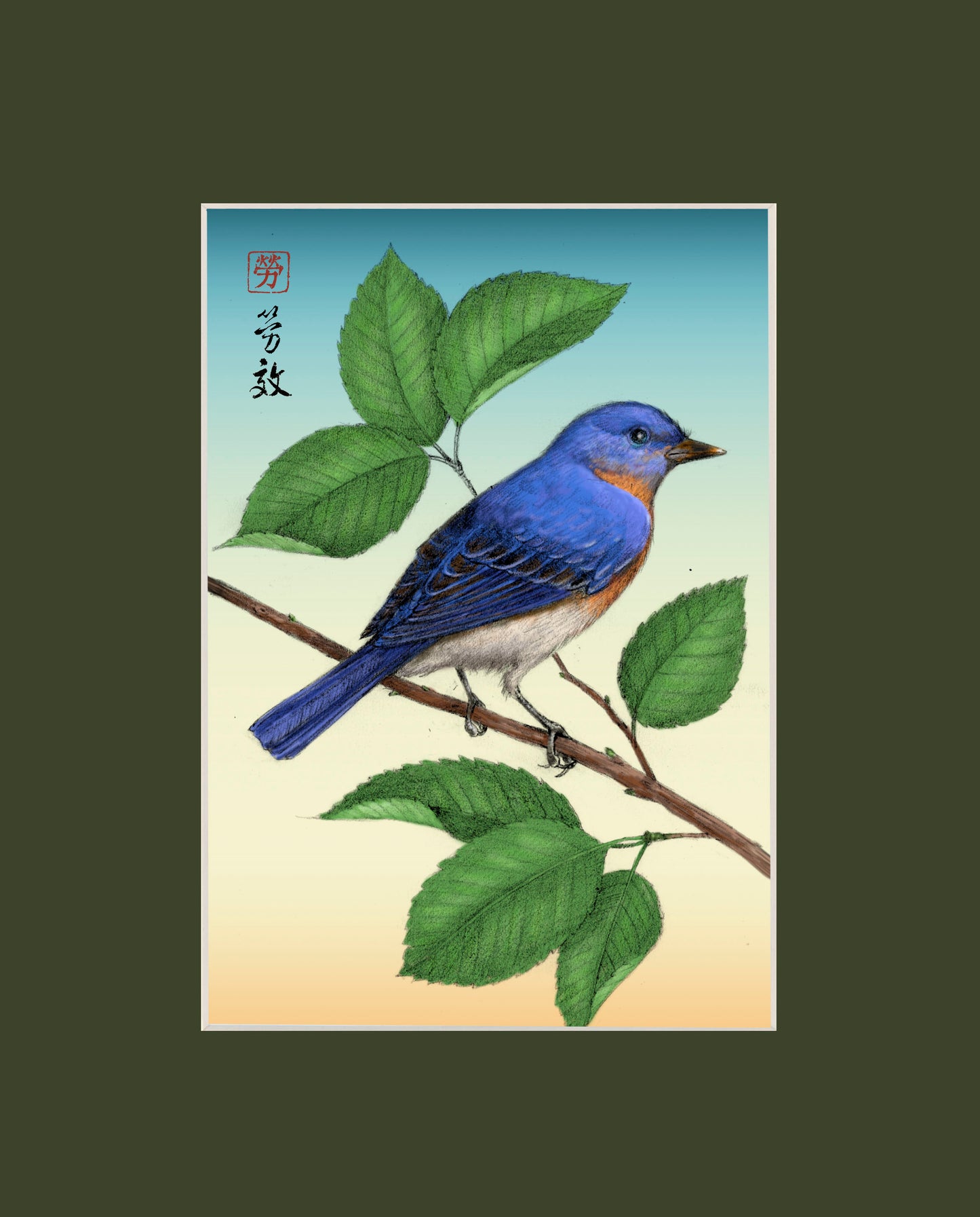 Eastern Bluebird