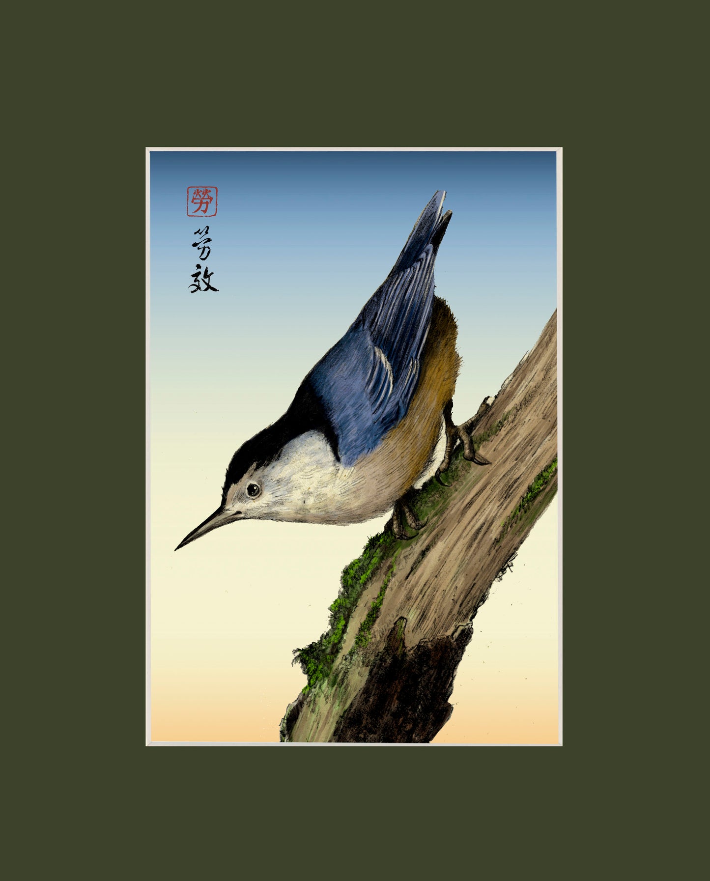 White-breasted Nuthatch