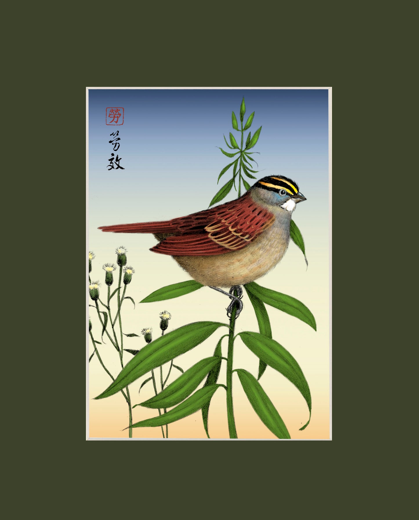 White-throated Sparrow