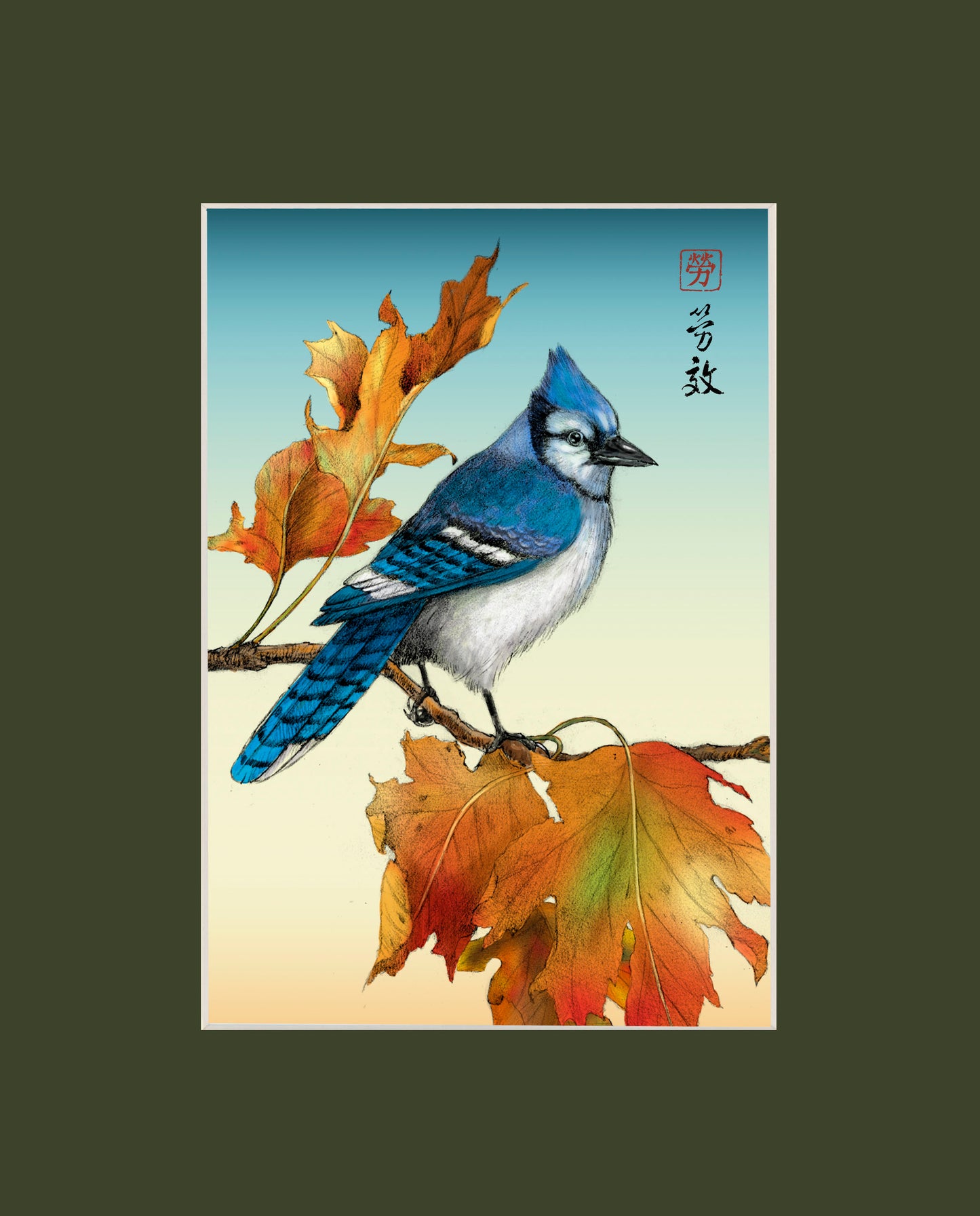 Bluejay