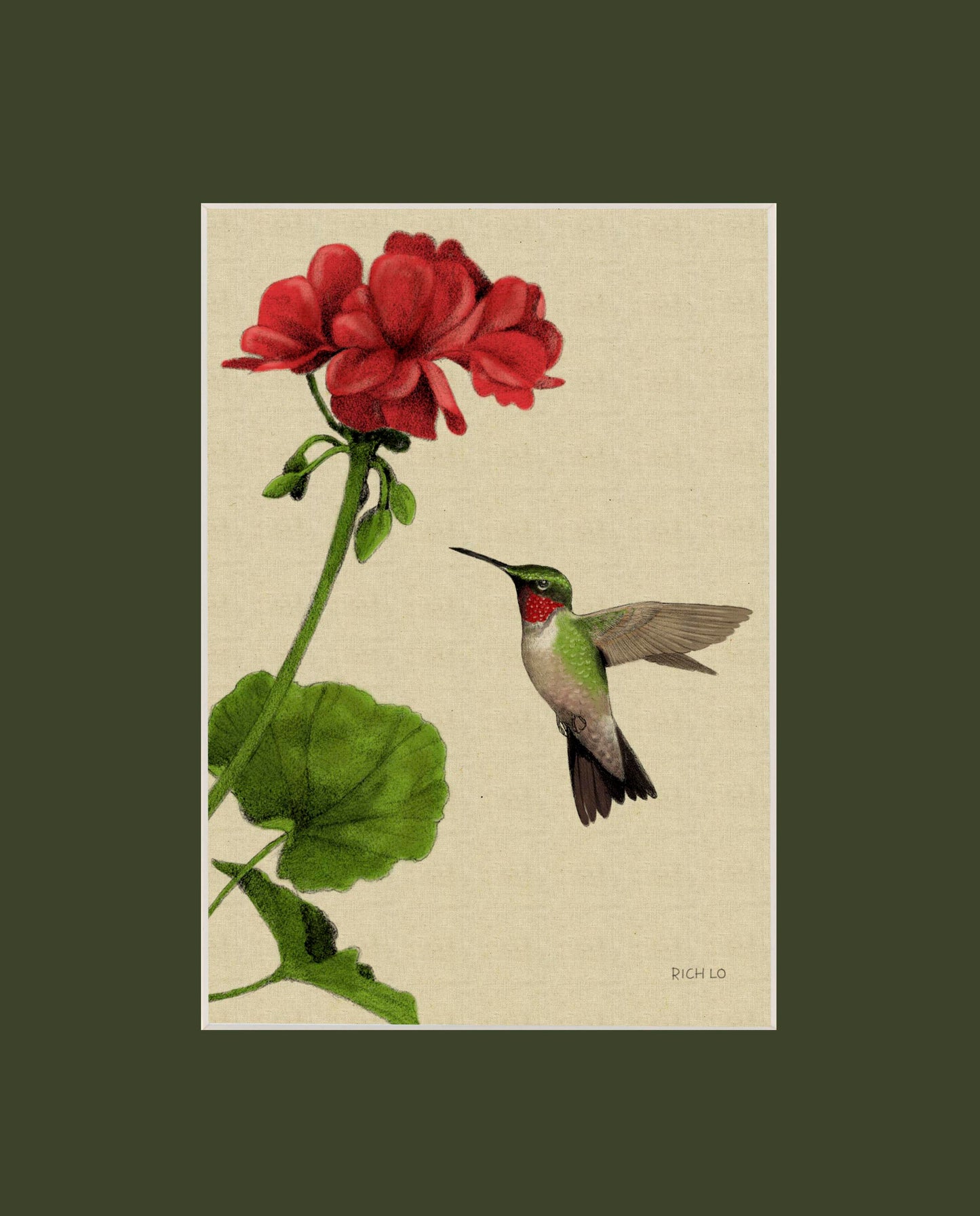 Ruby-throated Hummingbird