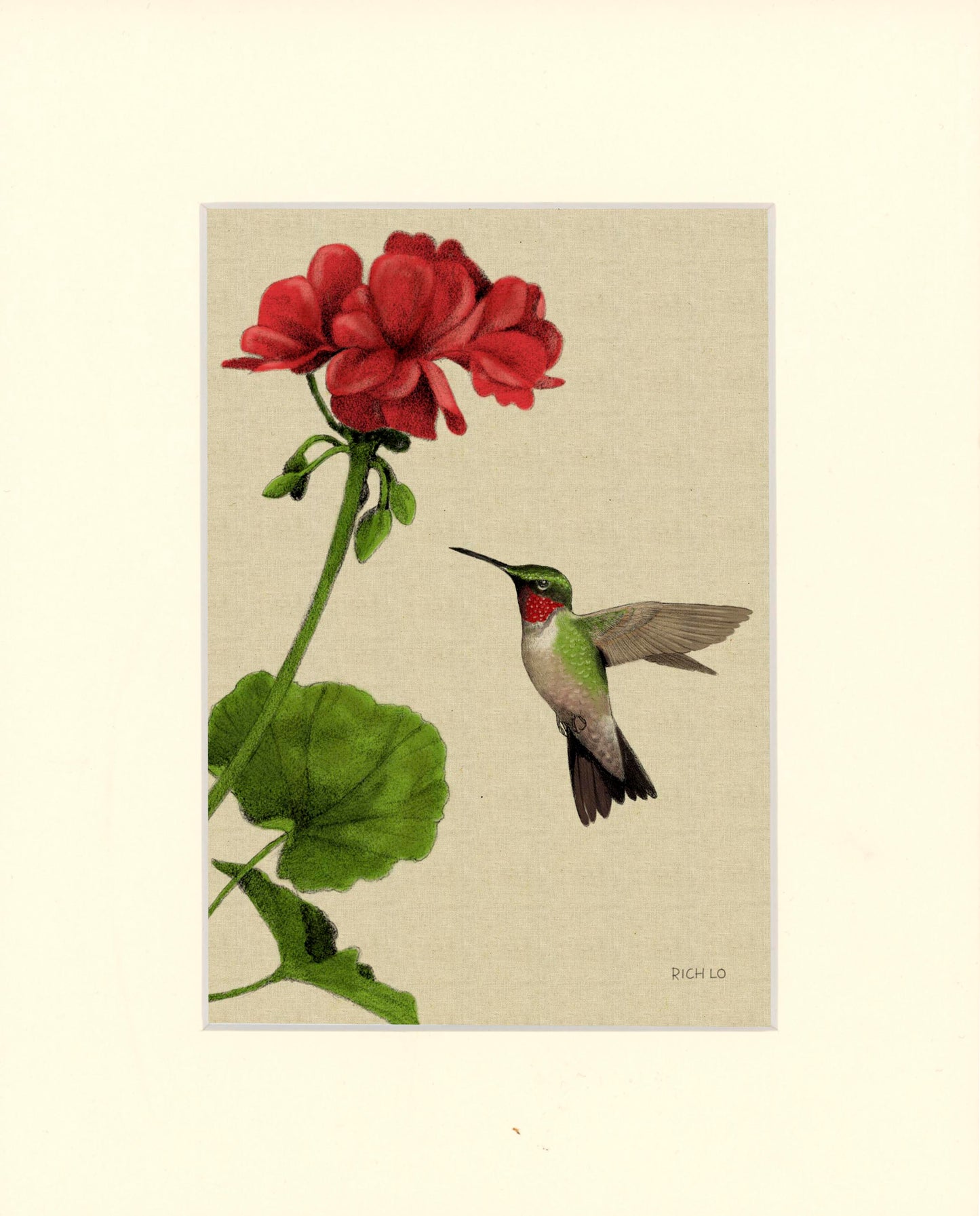 Ruby-throated Hummingbird