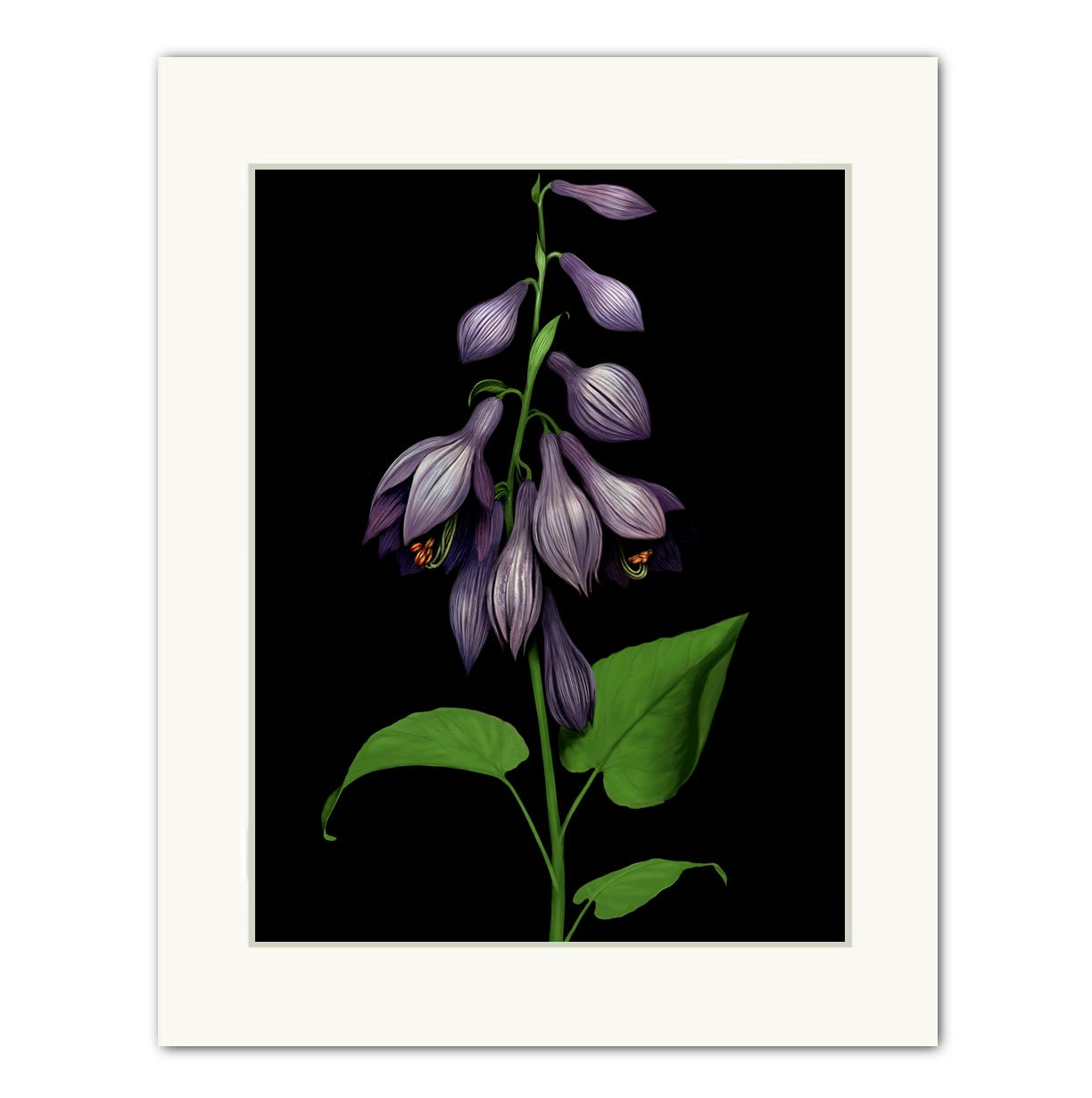 Purple Bells