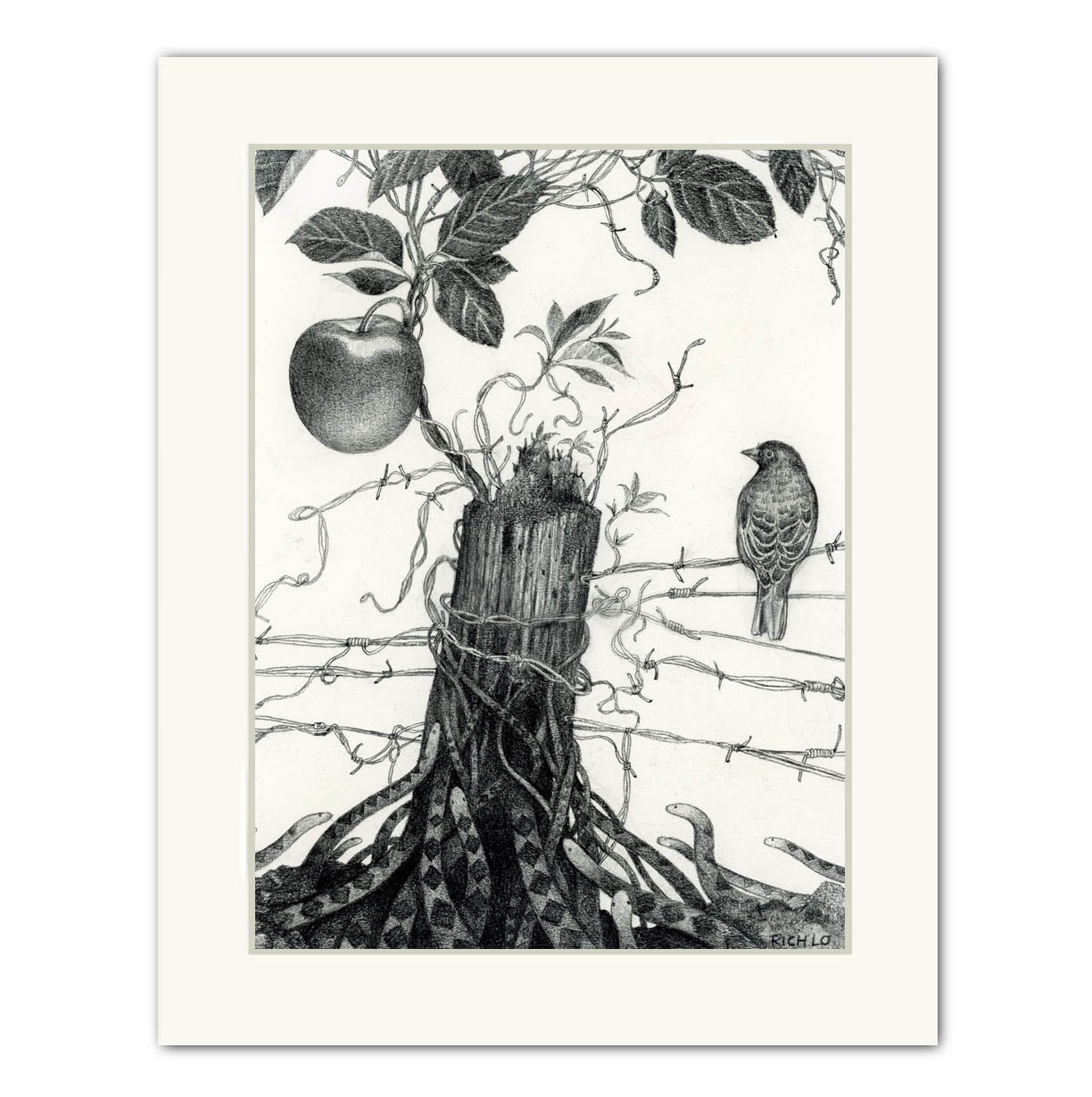 Forbidden Fruit