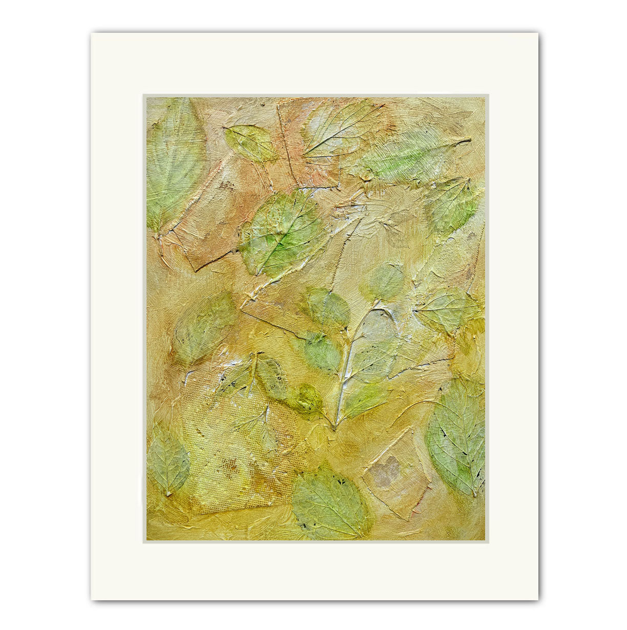 Garden Series 62