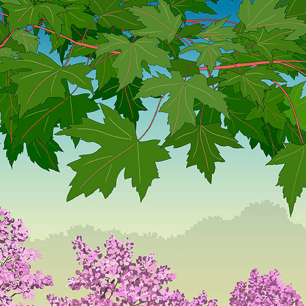 Morton Arboretum