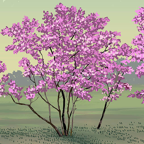 Morton Arboretum