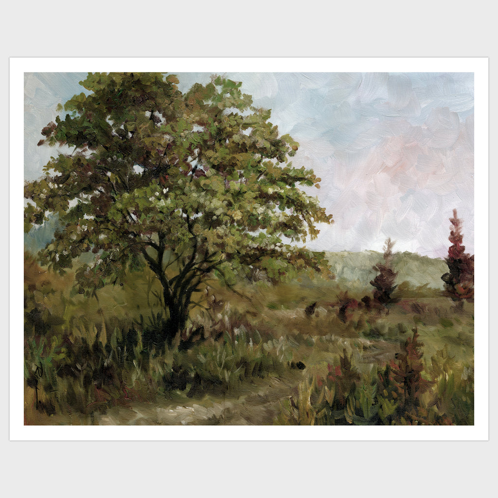 Old Apple Tree. Realistic oil landscape. Art for sale. Licensing available.