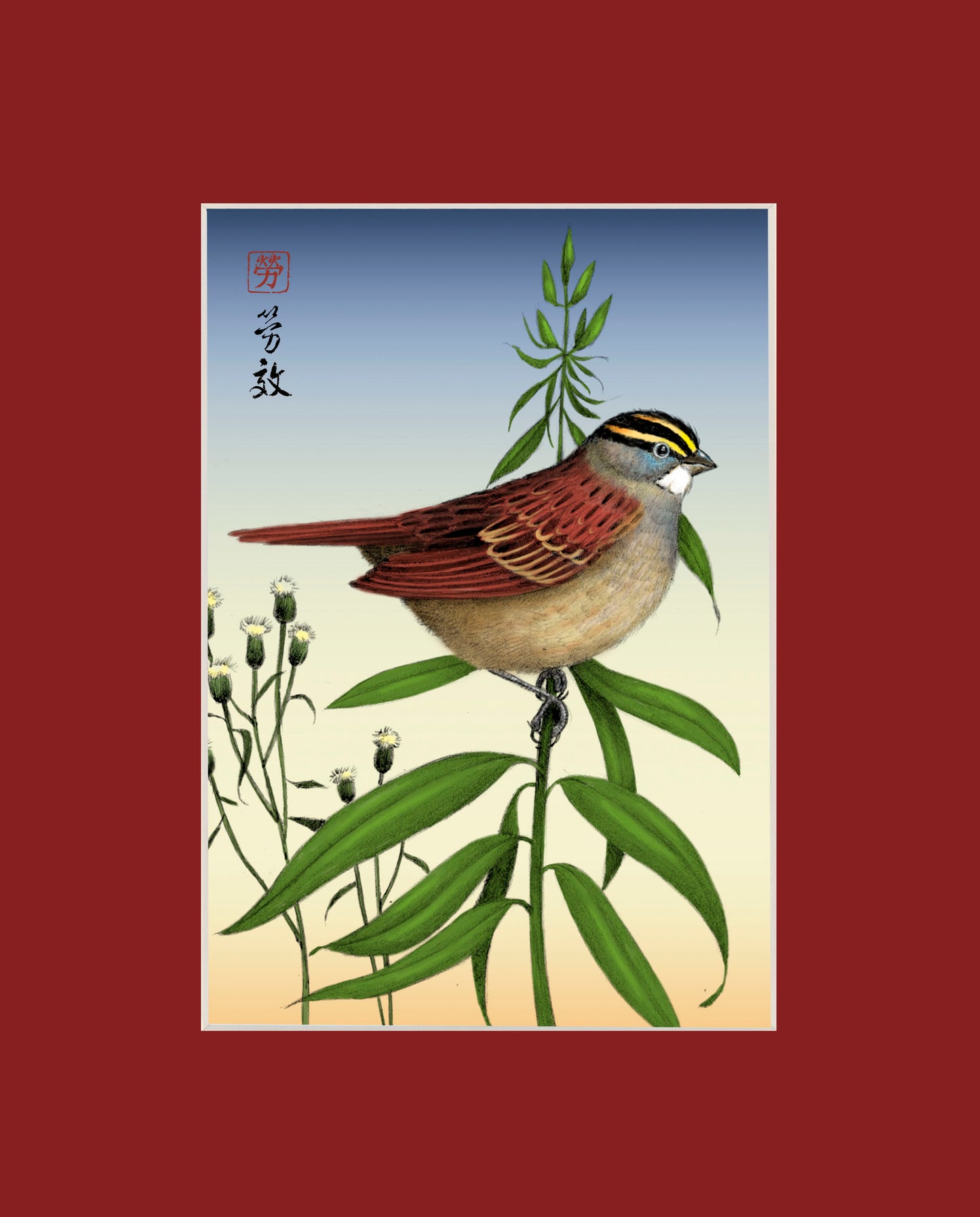 White-throated Sparrow