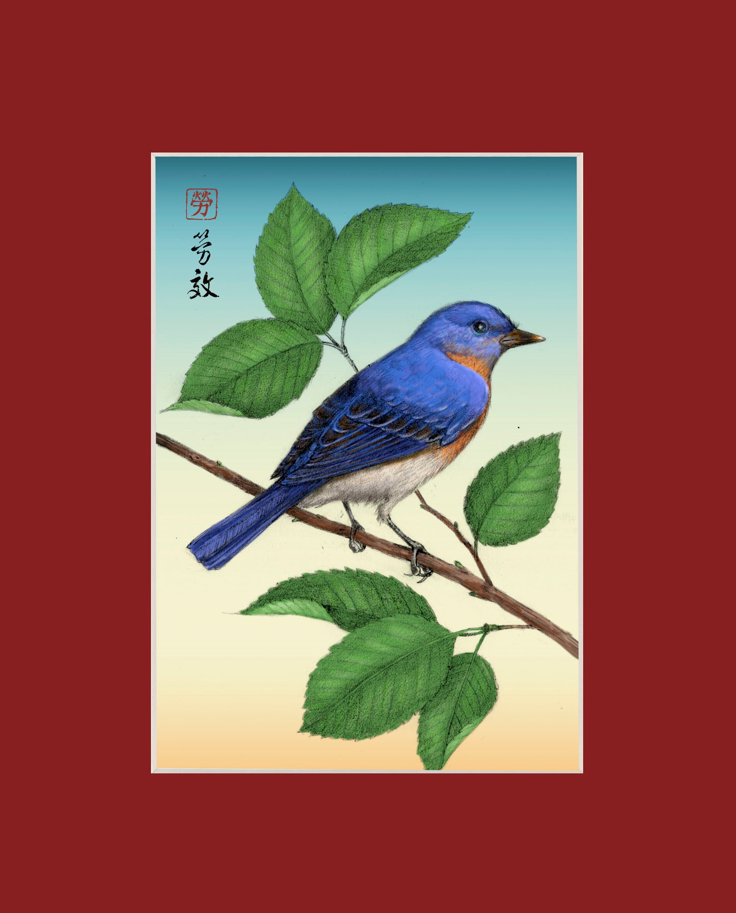 Eastern Bluebird