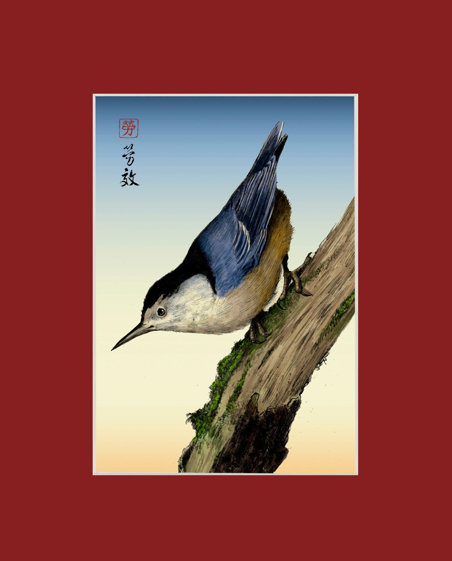 White-breasted Nuthatch