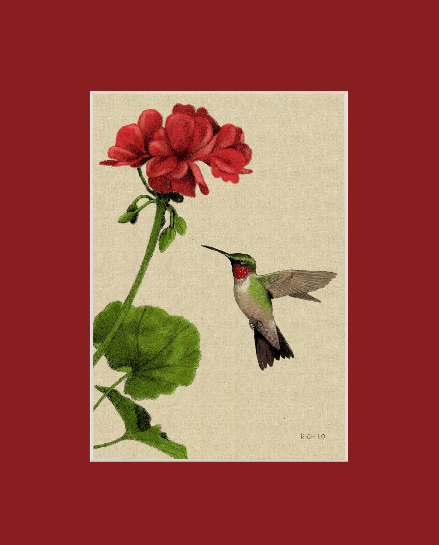 Ruby-throated Hummingbird