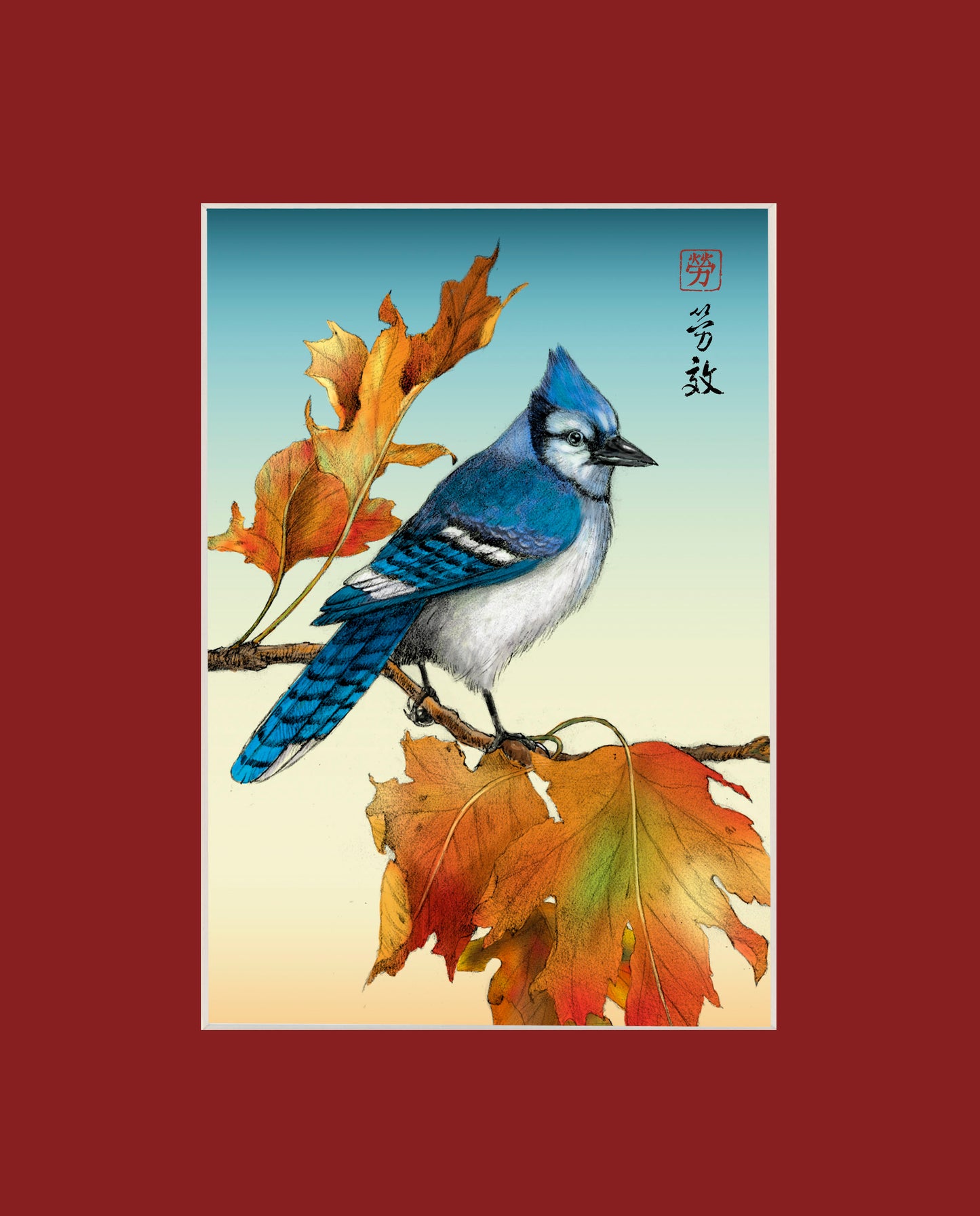 Bluejay
