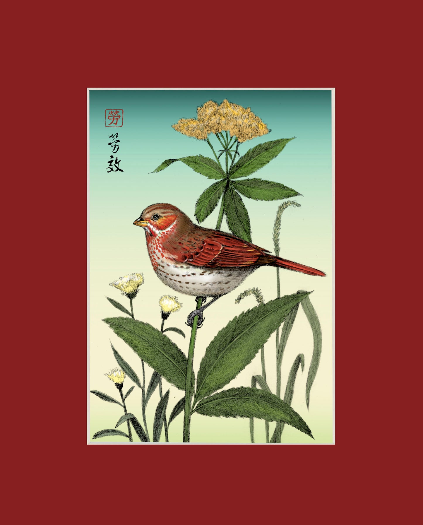 Fox Sparrow