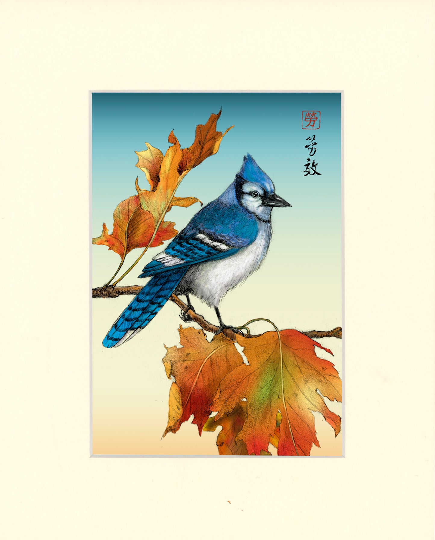 Bluejay