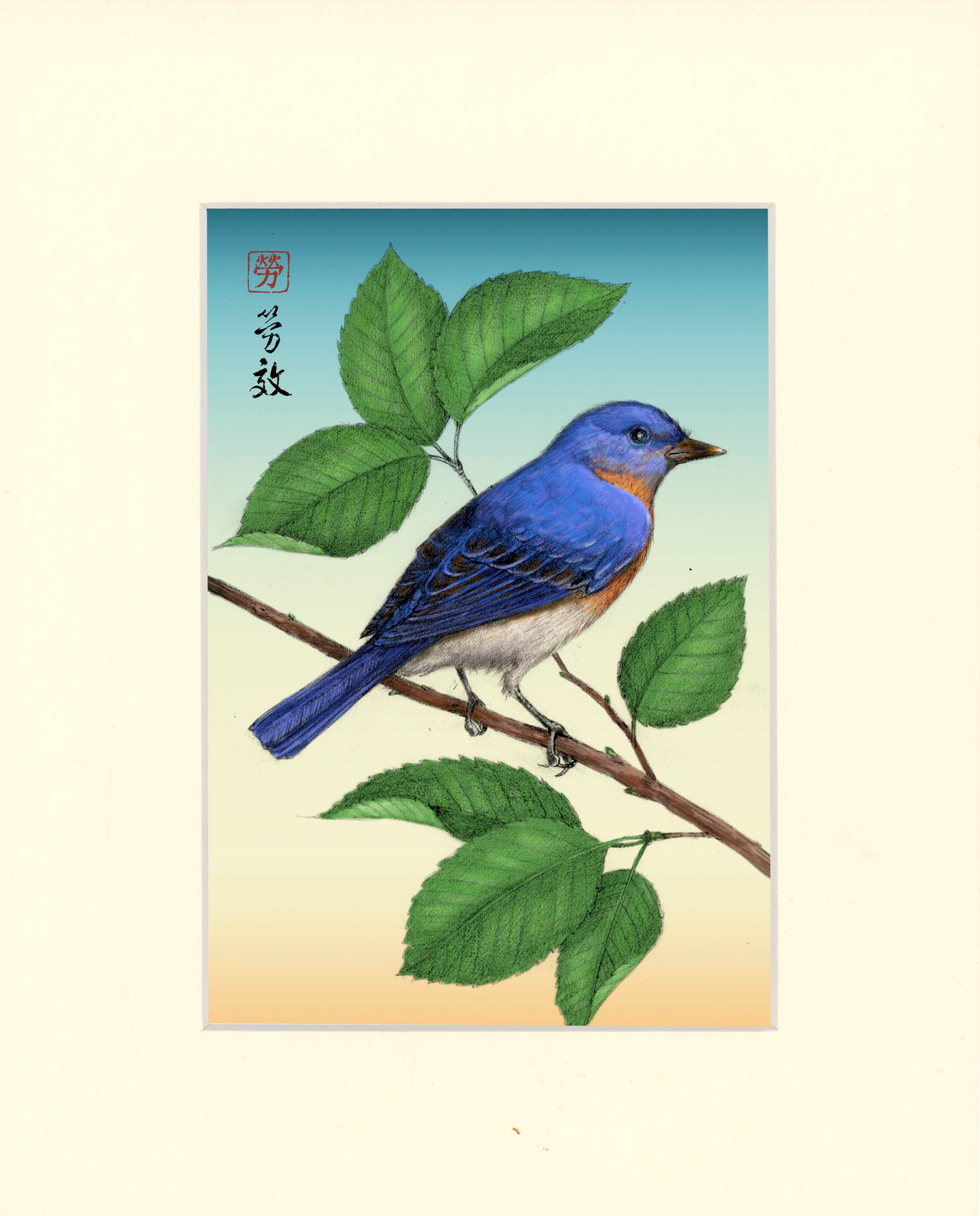 Eastern Bluebird
