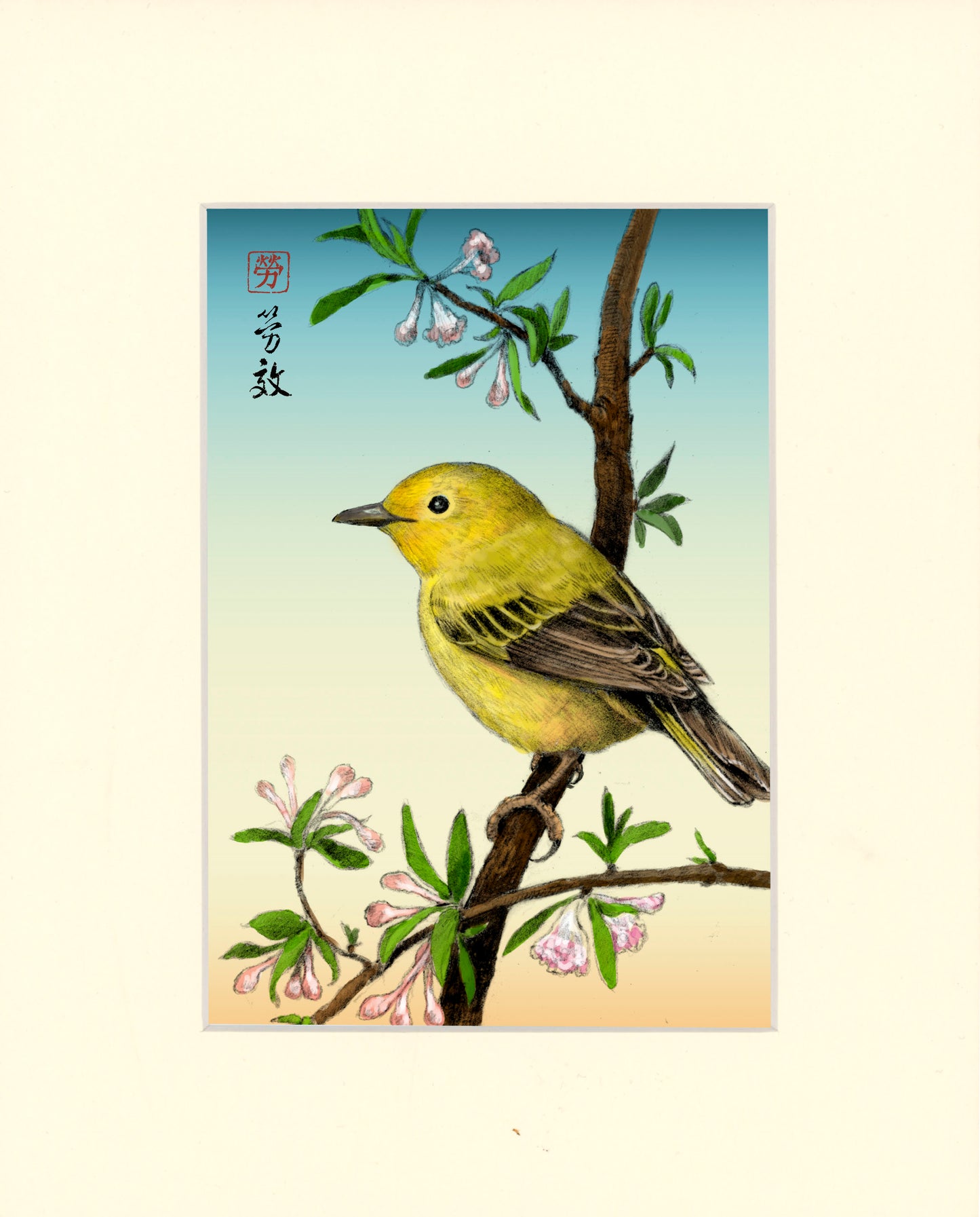Yellow Warbler