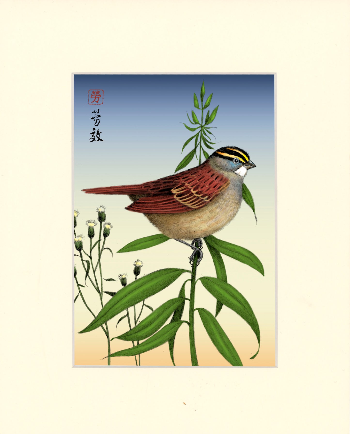 White-throated Sparrow