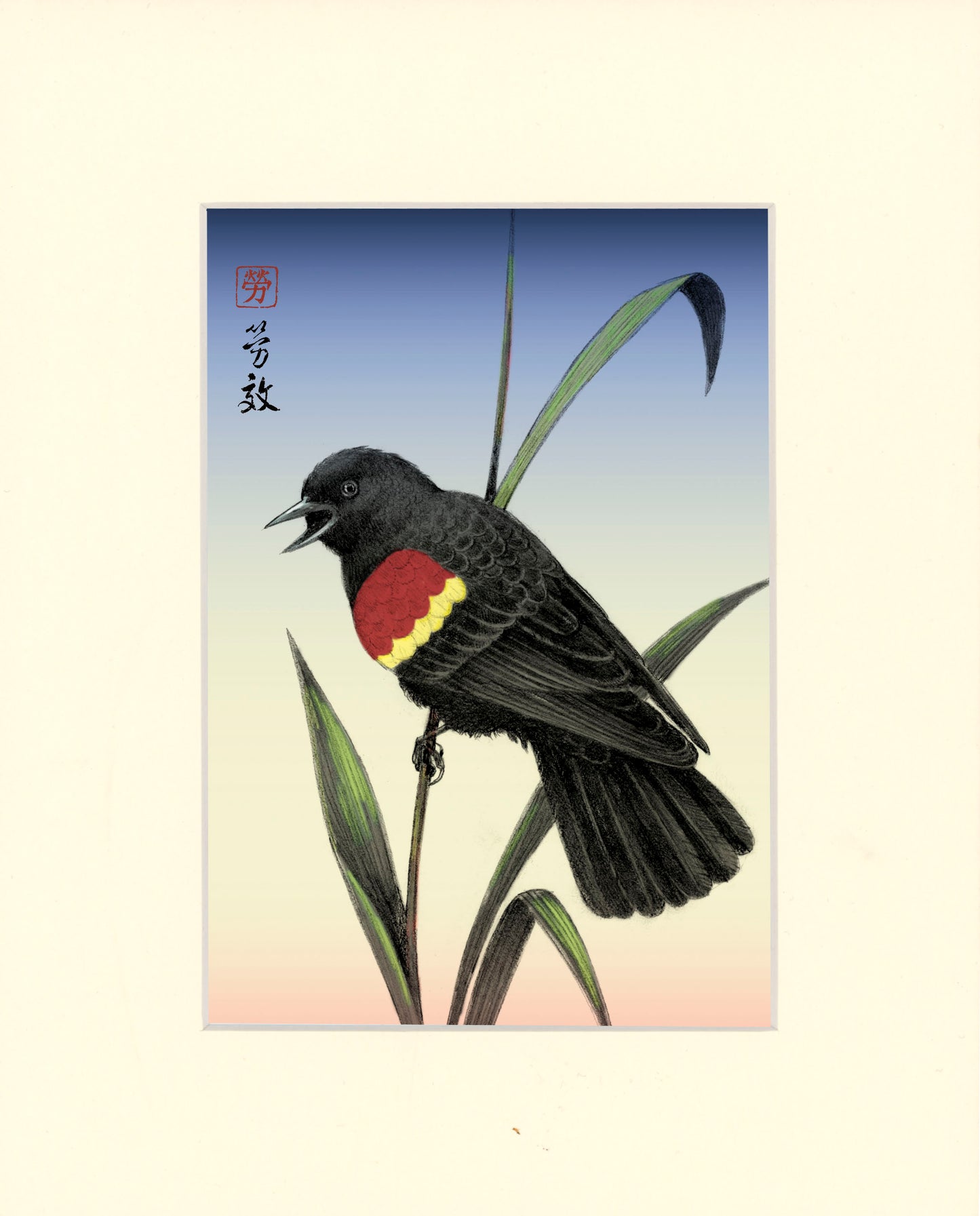 Red-winged Blackbird
