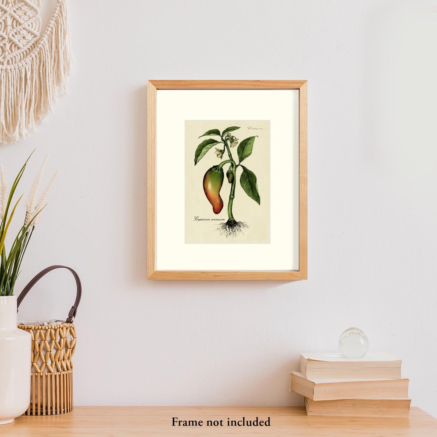 Chili Peppers