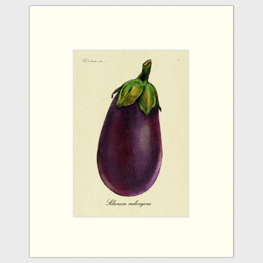 Eggplant