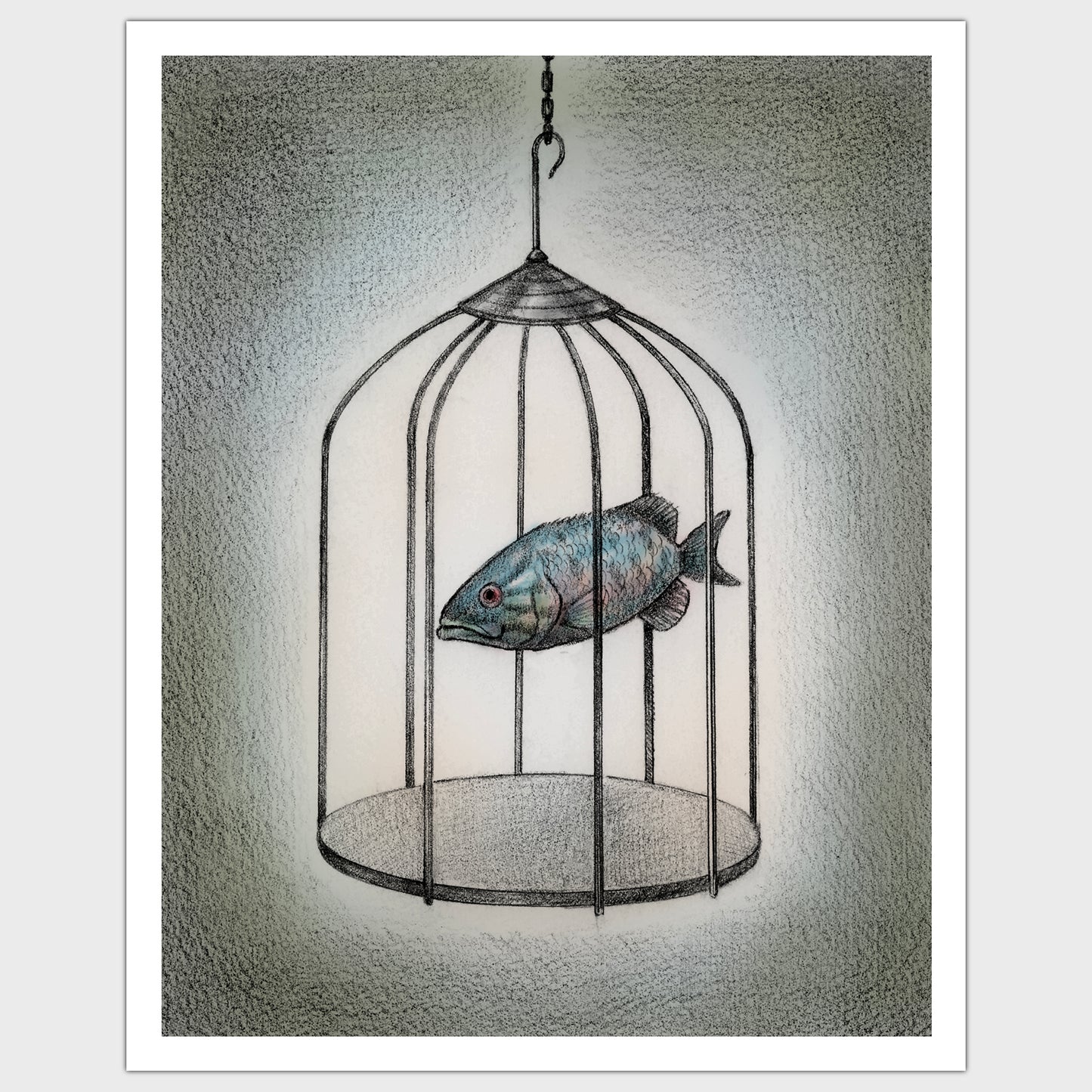 Fish Cage