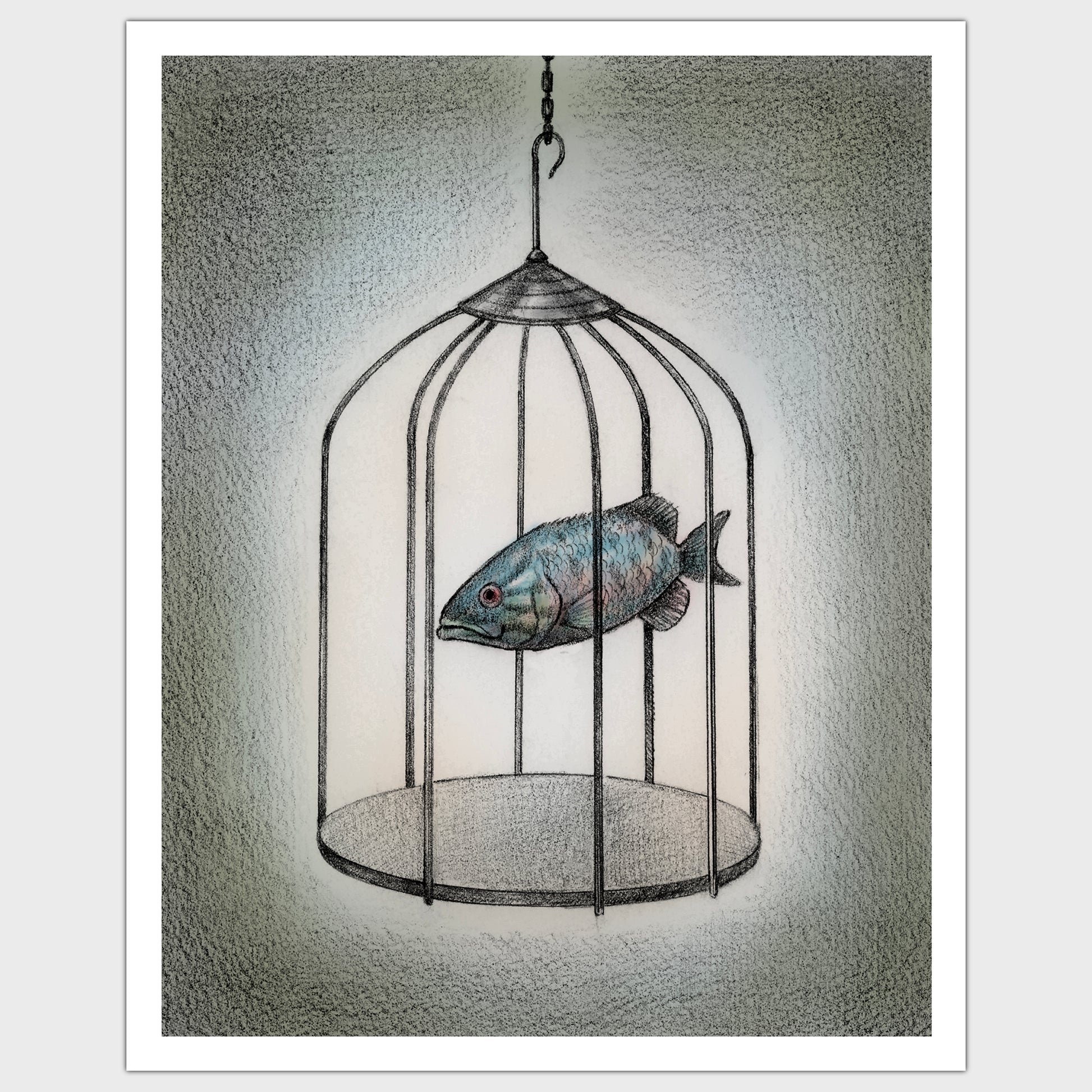 Fish Cage