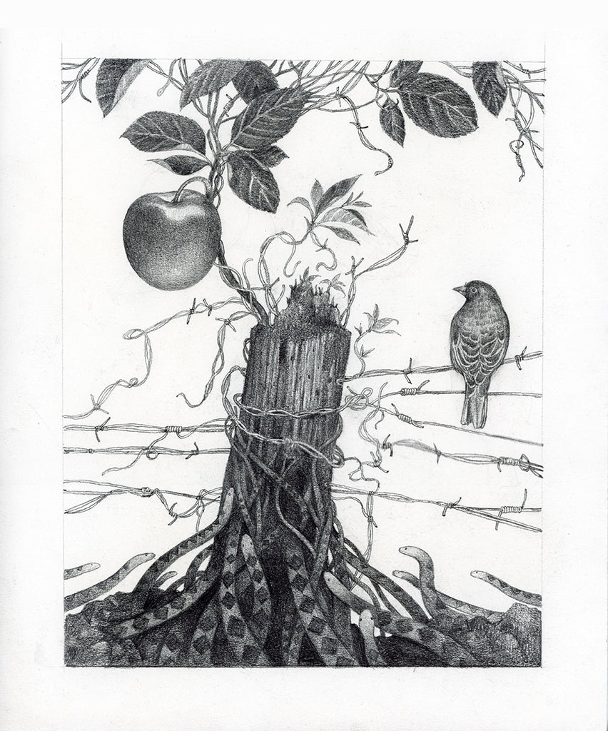 Original art. A drawing of a surreal scene of an apple tree including snakes and barbwire.