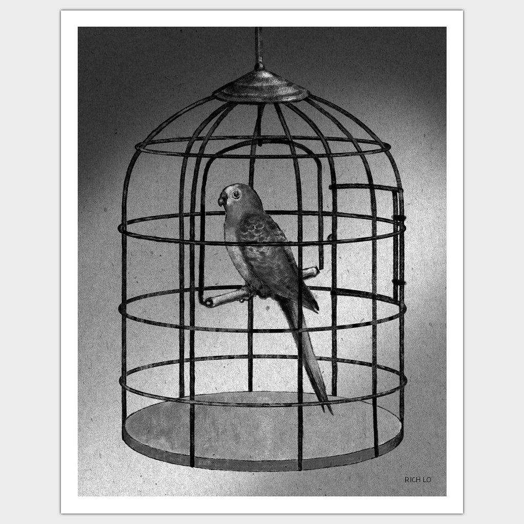 Parakeet