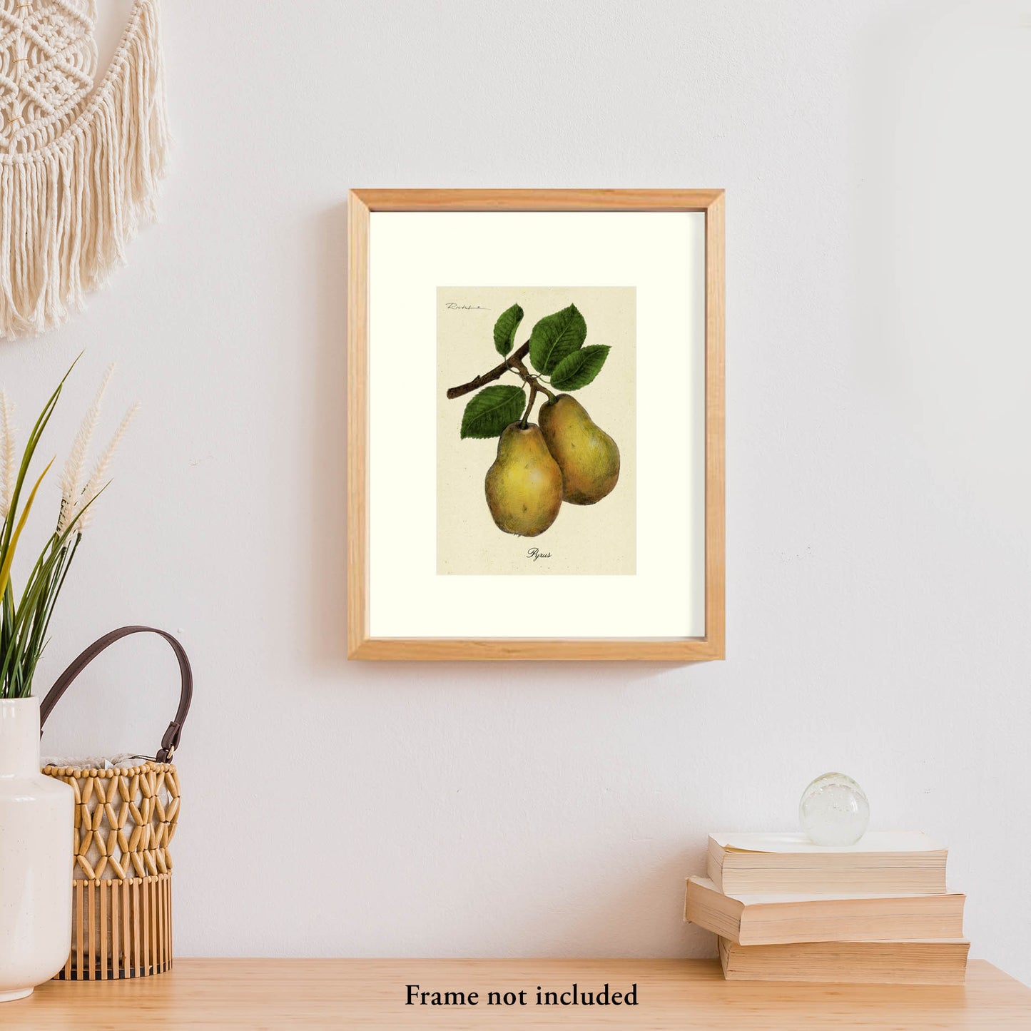 Pears