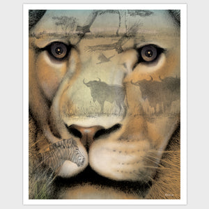 Open image in slideshow, Predator
