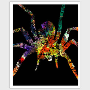 Open image in slideshow, Spider
