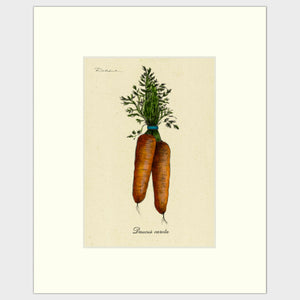 Open image in slideshow, Carrots

